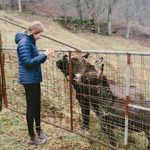 Next to the horses, you will find the donkeys.