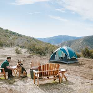 Dog friendly property, but be careful- it's the desert! So make sure your dog has desert shoes otherwise be prepared to take out the prickers from their paws!