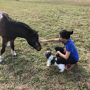Making friends