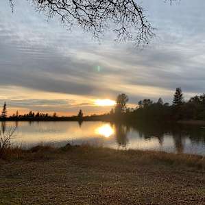 Waterfront at Finnon Lake - A11