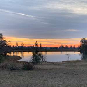 Waterfront at Finnon Lake - A11