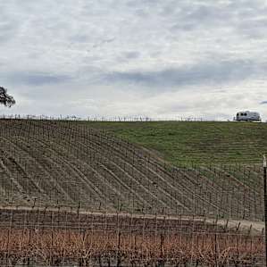 Airstream in the Vineyard