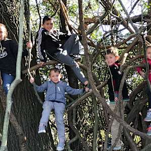 Lots of open space and plenty of trees to climb!