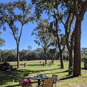 Florida fun on the farm
