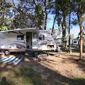 Site under oaks