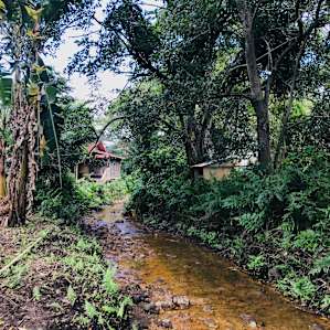 Waipio Valley of the Kings Camp Out
