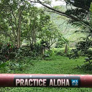 Waipio Valley of the Kings Camp Out