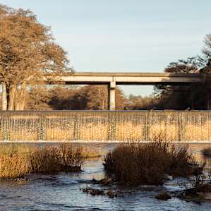 River at the park