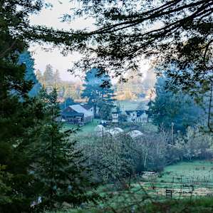 Farmlands.