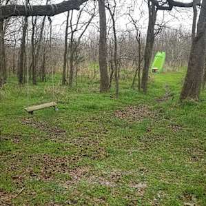 Our campsite: swings, composting toilet, and creek behind me. Not pictured: fluffy cute greeter!