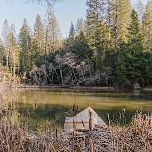 CedarSong Sanctuary Cabin on a pond