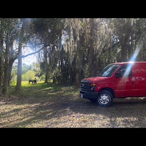 Camping & ponies, what could be better?