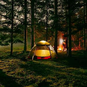 Moonlit Meadows Collective