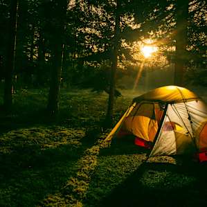 Moonlit Meadows Collective