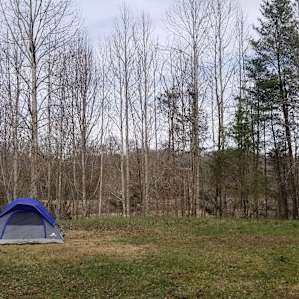 This is site 2, totally private and secluded-- you can do your naked rain dances up here! Hahaha