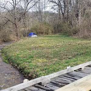 The creek that runs here drowns out the thrumming of cars on the road. You can hear it at site 2, also. Perfect.