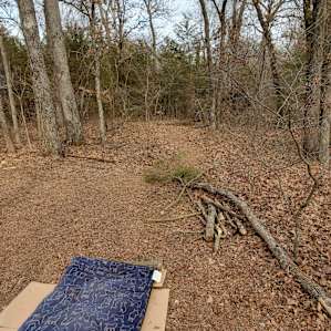 Path to the pond