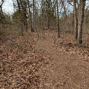Path from the car to the spot. Secluded from the house and drive way