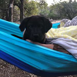 Secluded Tent Camping