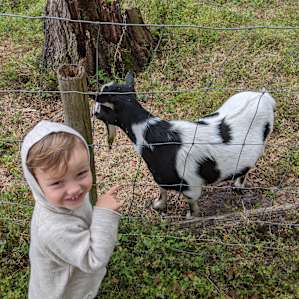 Florida fun on the farm