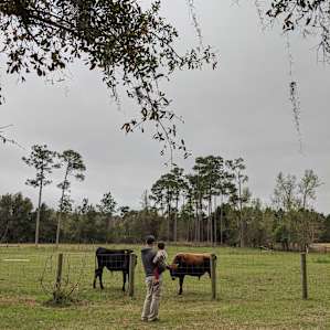 Florida fun on the farm