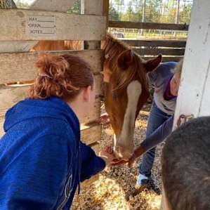 Florida fun on the farm