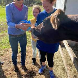 Florida fun on the farm