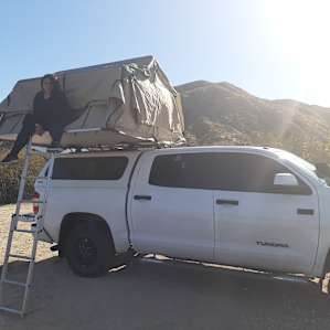 The Desert Rose Collective