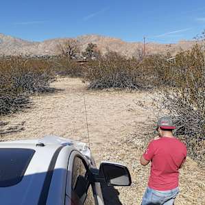 The Desert Rose Collective