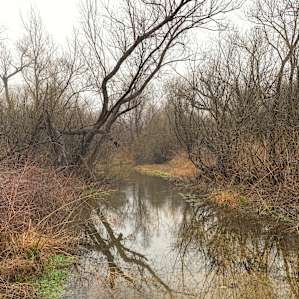Sweetwater River Tent/RV Camp