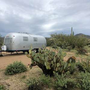 Wild Burro Desert Retreat