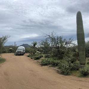 Wild Burro Desert Retreat