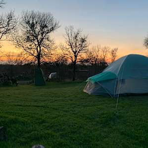 Sustainable Farm Primitive Camping