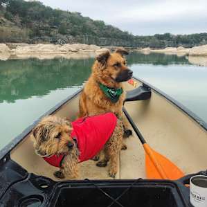 This stretch of the Medina was calm and paddling West/Northwest yields cliffside views and a fun creek.