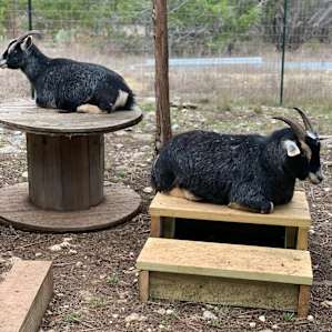 Little Haven - Wimberley, TX
