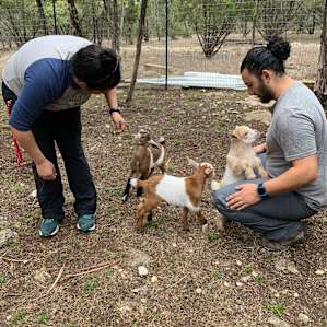 Little Haven - Wimberley, TX