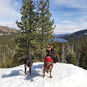 Short drive up Hwy 20 to snowshoe Donner Pass route.