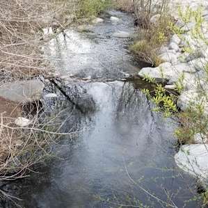 Crystal Lake Recreation Area and Campground