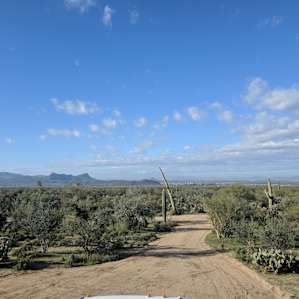 Wild Burro Desert Retreat