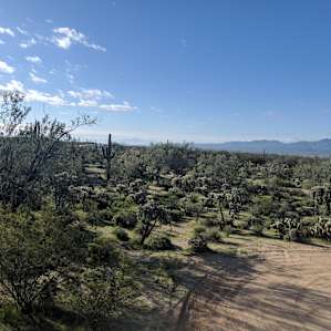 Wild Burro Desert Retreat