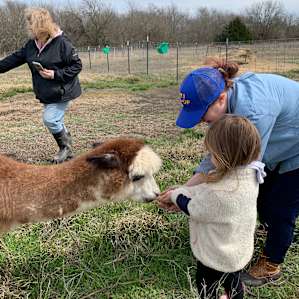 Texas Prairie and Fiber Ranch!