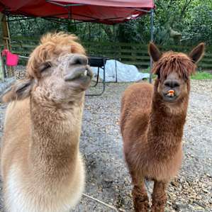 This is William and George lol