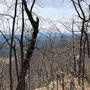Kinderhook Hollow