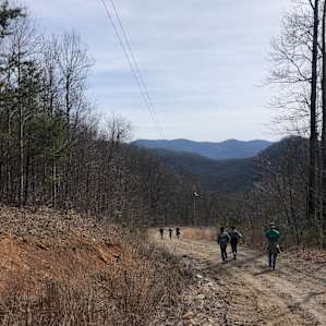 Kinderhook Hollow
