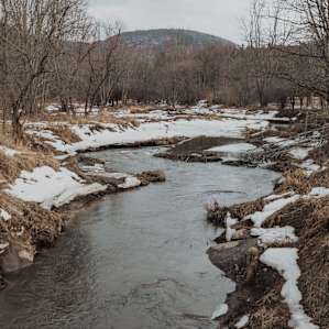 Part of the Ausable River that flows through the farm- great for fishing