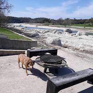 BuddyLove checking out the digs.