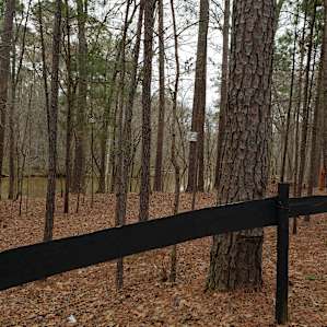 The creek and woods are great!