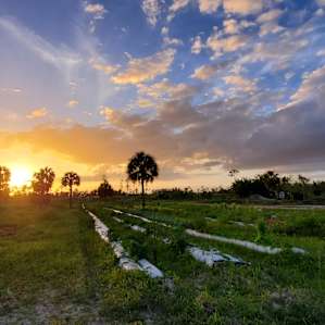 Enchanting Wilderness Campsites