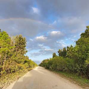 Enchanting Wilderness Campsites