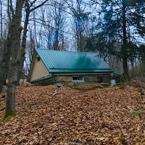 Rustic Cabin with Sleeping Loft